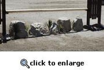 Product - Equine Exchange Tack Store in South Coventry - Pottstown, PA Sports & Recreational Services