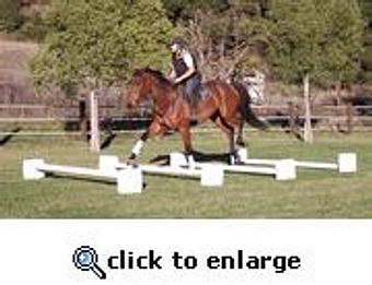 Product - Equine Exchange Tack Store in South Coventry - Pottstown, PA Sports & Recreational Services