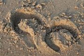 Product - Equine Exchange Tack Store in South Coventry - Pottstown, PA Sports & Recreational Services