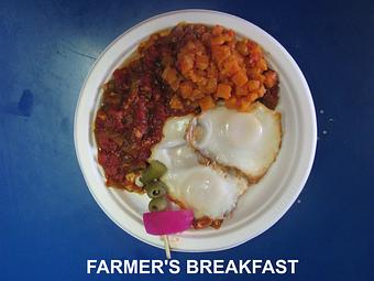 Product: Farmer's (Grateful Pig) Breakfast - Expressly Leslie Vegetarian Specialties in On the Square in Woodstock, Illinois - Woodstock, IL Mediterranean Restaurants