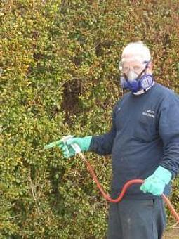 Product: Pest control services. - Facility Pest Control in Reseda, CA Pest Control Services