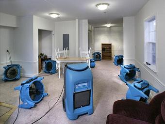 Product - Firstclean - Southern Ocean County in Tinton Falls, NJ Business Services