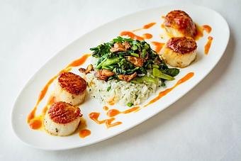 Product - Fluke Newport in Newport, RI American Restaurants