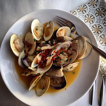 Product - Fluke Newport in Newport, RI American Restaurants