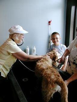 Product - Four Muddy Paws in Saint Louis, MO Pet Boarding & Grooming