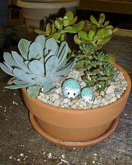 Product - Garden Mart in Mukwonago, WI Nurseries & Garden Centers