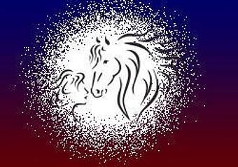 Product - Gentle Hoofbeats in Dewitt, MI Dentists