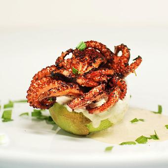 Product - Gorji Restaurant in Dallas, North Dallas, Addison - Dallas, TX Mediterranean Restaurants