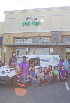 Product - Green Dog Spa in Jacksonville, FL Pet Boarding & Grooming