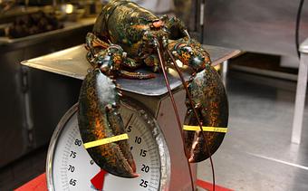 Product - Grill 225 in Historic District - Charleston, SC American Restaurants