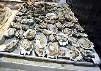 Product - Half Shell in Lincoln Park - Chicago, IL Seafood Restaurants