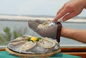 Product - Harrison's Harbor Watch Restaurant in Ocean City, MD - Ocean City, MD Seafood Restaurants