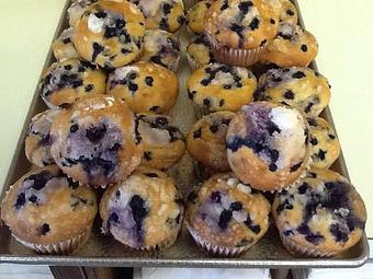 Product - Harvey's Bakery & Coffee Shop in Dover, NH Bakeries