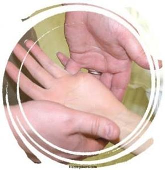 Product - Healing Kneads Massage & Exercise in LAWRENCE PARK BUSINESS CENTER (NEXT TO SPROUL APARTMENTS) - Broomall, PA Massage Therapy