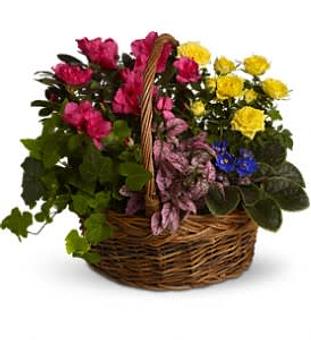 Product - Heaven Scent Flowers in Coleman, MI Florists