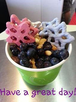 Product - HighFive Frozen Yogurt-Mount Dora in Loch Leven - Mount Dora, FL Dessert Restaurants