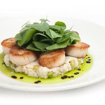 Product - Houlihan's in Columbus, GA American Restaurants