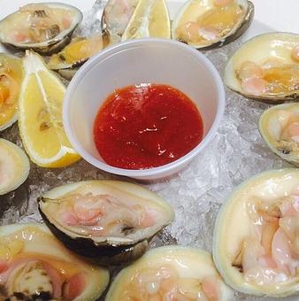 Product - Icehouse Café Waterfront Restaurant in Throggs Neck - Bronx, NY American Restaurants