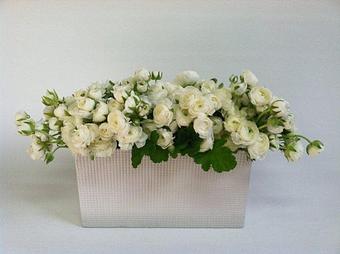 Product - Isari Flower Studio in Solana Beach, CA Florists