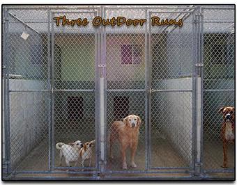 Product - Jeric's Kennels in Hood Swamp Area - Goldsboro, NC - La Grange, NC Pet Boarding & Grooming Product - Jeric's Kennels in Hood Swamp Area - Goldsboro, NC - La Grange, NC Pet Boarding & Grooming