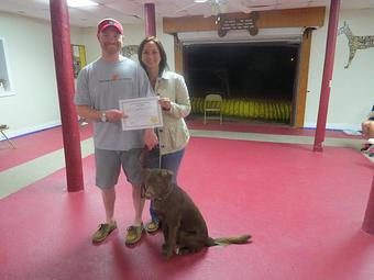 Product - Jo-Thor's Dog Trainers' Academy in Alpharetta, GA Pet Care Services