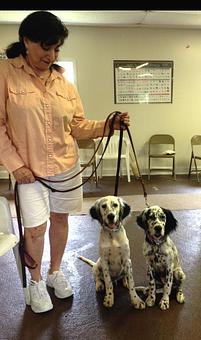 Product - Jo-Thor's Dog Trainers' Academy in Alpharetta, GA Pet Care Services