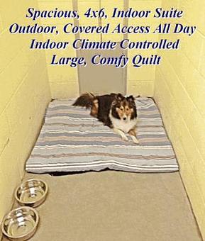 Product - Kathy's Pampered Paws in Clarksville, TN Pet Boarding & Grooming