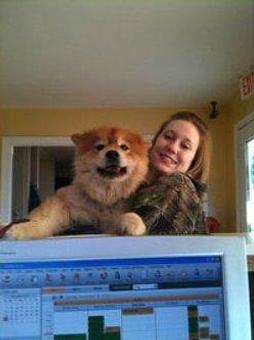 Product - Kathy's Pampered Paws in Clarksville, TN Pet Boarding & Grooming