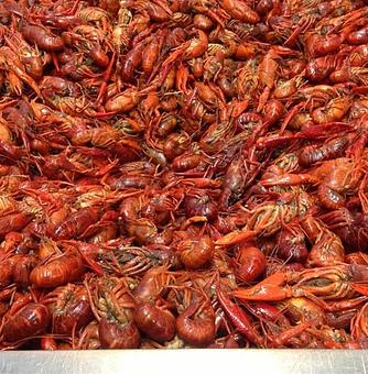 Product - Kenner Seafood Market Restaurant & Catering in Kenner, LA Seafood Restaurants