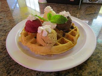 Product: Choose four different flavors of Gelato or Sorbetto - La Divina in French Quarter - New Orleans, LA Bakeries