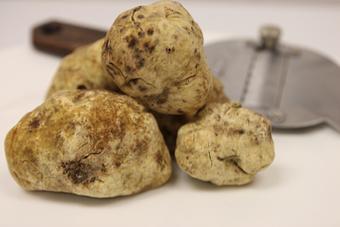 Product: Alba white truffle special on the menu fall- winter - La Pergola in Millburn, NJ Italian Restaurants