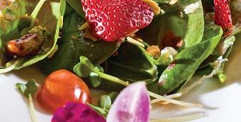 Product - La Traviata Restaurant Bar and Lounge in Long Beach, CA Italian Restaurants