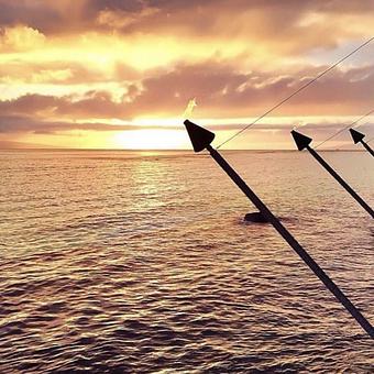 Product - Lahaina Fish in Lahainatown - Lahaina, HI American Restaurants