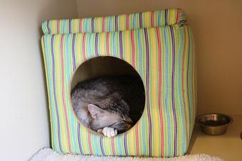 Product - Le Chateau Pet Resort in Amarillo, TX Pet Boarding & Grooming