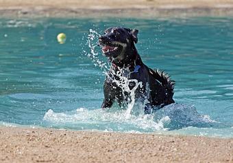 Product - Lea Wie Photography in Houston, TX Misc Photographers