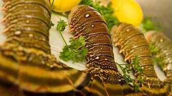 Product - Log Cabin Steakhouse in Galena, IL Greek Restaurants