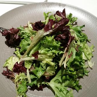 Product: Simple Field Greens Salad, Luminaria Spring Menu 2016 - Luminaria in Downtown Santa Fe - Santa Fe, NM American Restaurants