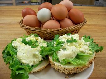 Product - Main Street Bagels in Grand Junction, CO Delicatessen Restaurants