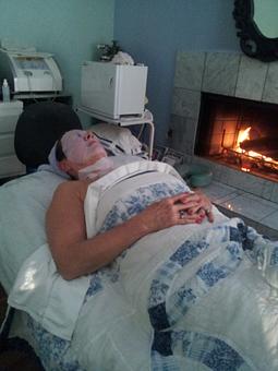 Product - Mapleshade Spa in Dallas, TX Restaurants/Food & Dining