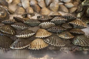 Product - Matunuck Oyster Bar in East Matunuck - Wakefield, RI Seafood Restaurants