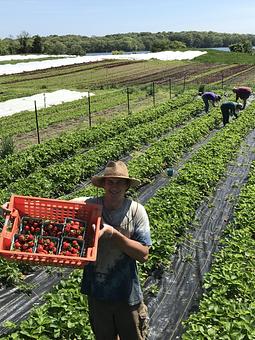 Product - Matunuck Oyster Bar in East Matunuck - Wakefield, RI Seafood Restaurants