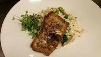 Product: Pan-seared Atlantic Cod over wild mushroom risotto with Fol Epi cheese, broccoli, and chives topped with truffle oil - Michael Anthony's at the Inn in Versailles, OH Restaurants/Food & Dining