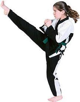 Product - Minger & Lee's Tae Kwon Do in Philadelphia, PA Martial Arts & Self Defense Schools