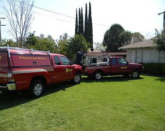 Product - Morrison Pest Management in Yucaipa, CA Pest Control Services