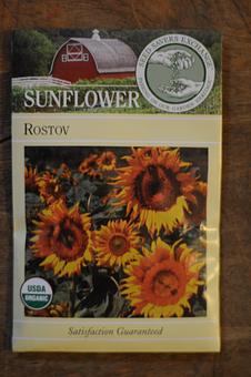 Product: Rostov Sunflowers - Mother Fool's Coffeehouse in Willy St. - Madison, WI Coffee, Espresso & Tea House Restaurants