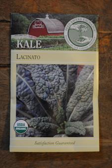 Product: Lacinato Kale - Mother Fool's Coffeehouse in Willy St. - Madison, WI Coffee, Espresso & Tea House Restaurants