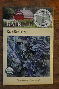 Product: Red Russian Kale - Mother Fool's Coffeehouse in Willy St. - Madison, WI Coffee, Espresso & Tea House Restaurants