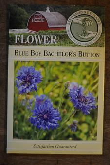 Product: Blue Boy Bachelor's Buttons - Mother Fool's Coffeehouse in Willy St. - Madison, WI Coffee, Espresso & Tea House Restaurants
