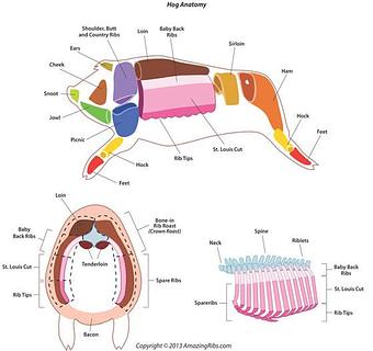 Product - Biscuit Bar in Louisville, CO Coffee, Espresso & Tea House Restaurants Product - Biscuit Bar in Louisville, CO Coffee, Espresso & Tea House Restaurants