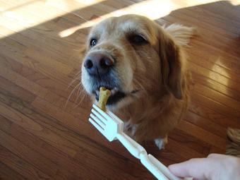 Product - Munchie Grip in Gurnee, IL Shopping & Shopping Services